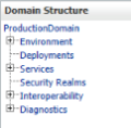 Domain Structure settings